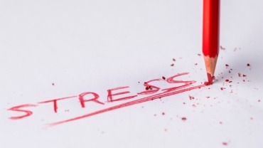 Stress Therapy Ross Knode
